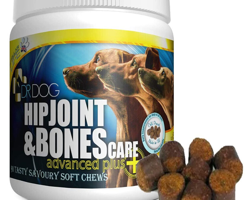 Dog Joint Soft Chews